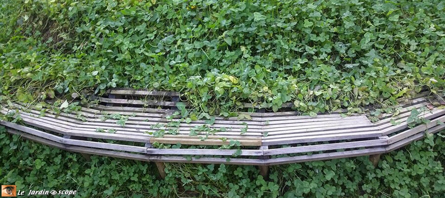 Banc à Chaumont-sur-Loire