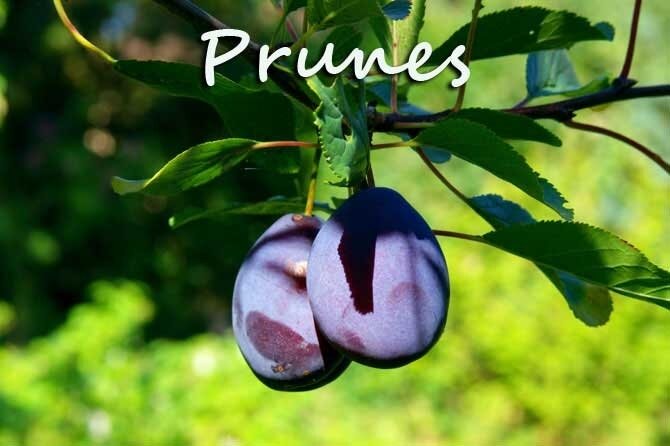 Prunes
