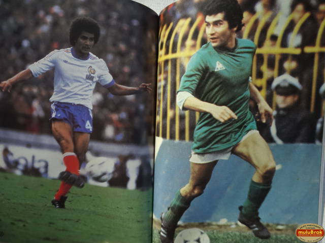 LES VERTS 80 muluBrok (6)