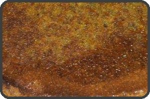 2012-11-21 gateau pistache - Copie