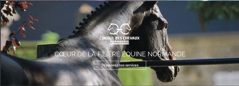 chevauxnormandie