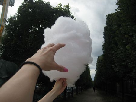 Photo 66756