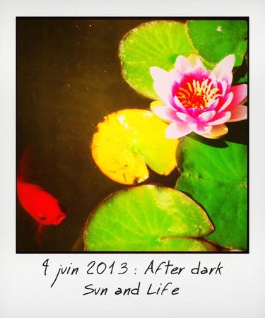4-After dark_instant