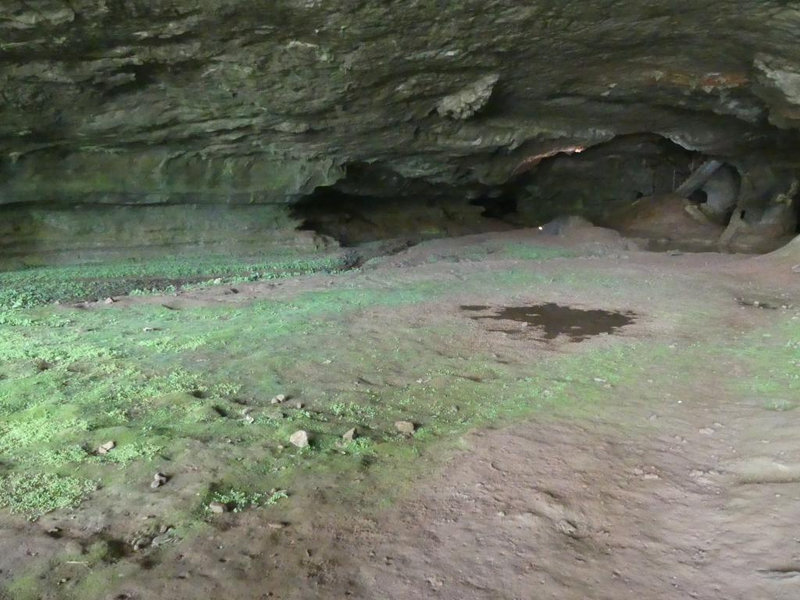 P1110278