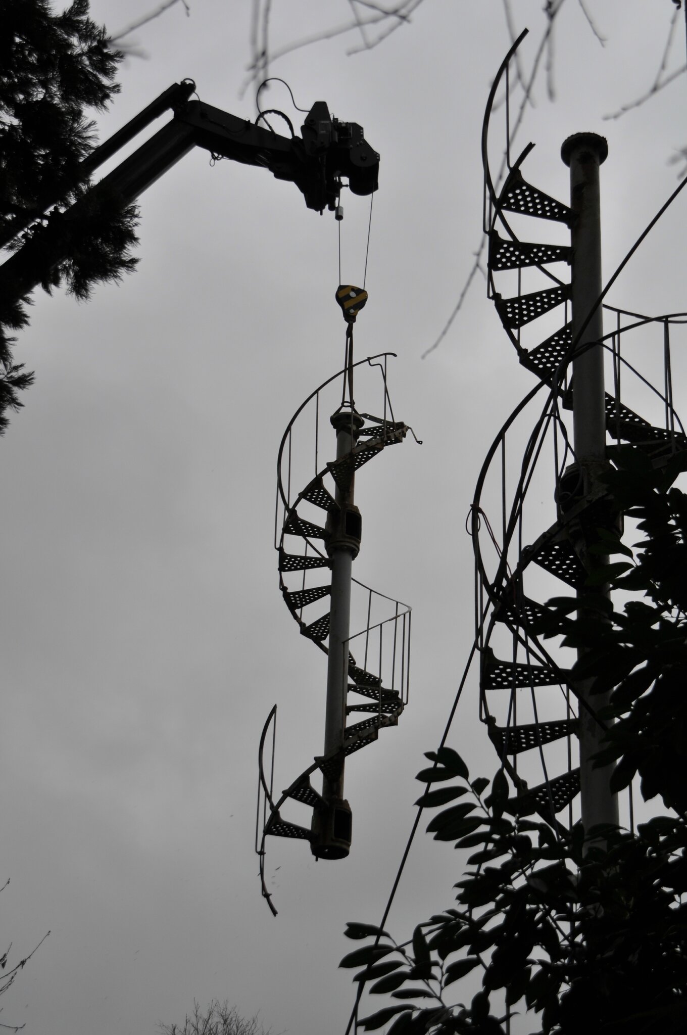 DSC_0146