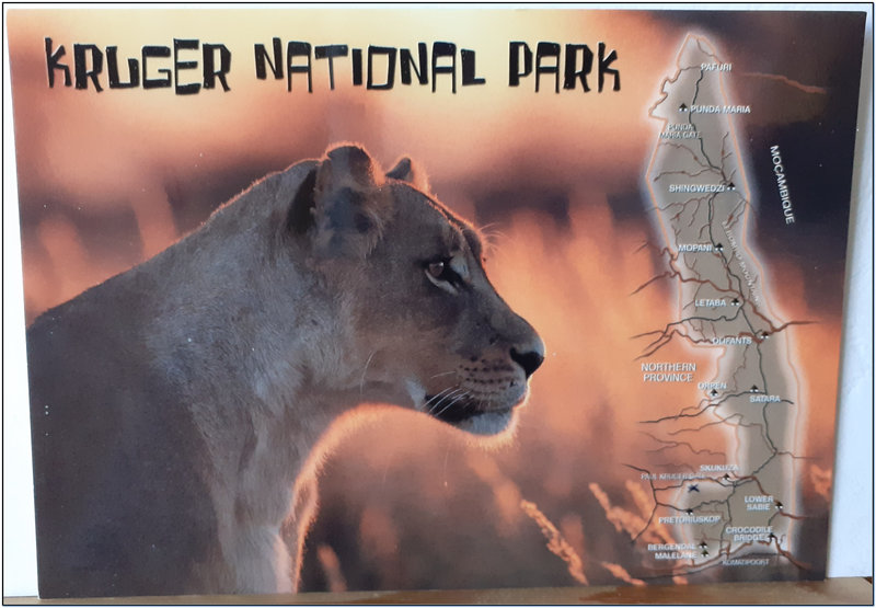 South Africa - Kruger national Park