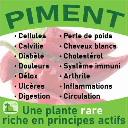 piment-baomix-laboratoire-biologiquement-phytotherapie-traitement-therapeutique-plantes-medicinales