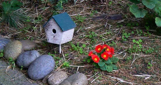 schtroumpfs