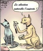 Natural selection win again_1