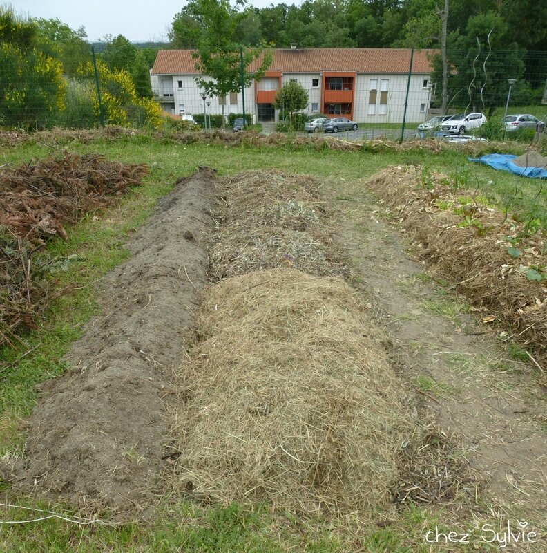 Potager permaculture 2e butte 10