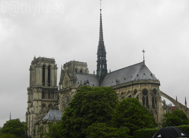 && Notre Dame (18)