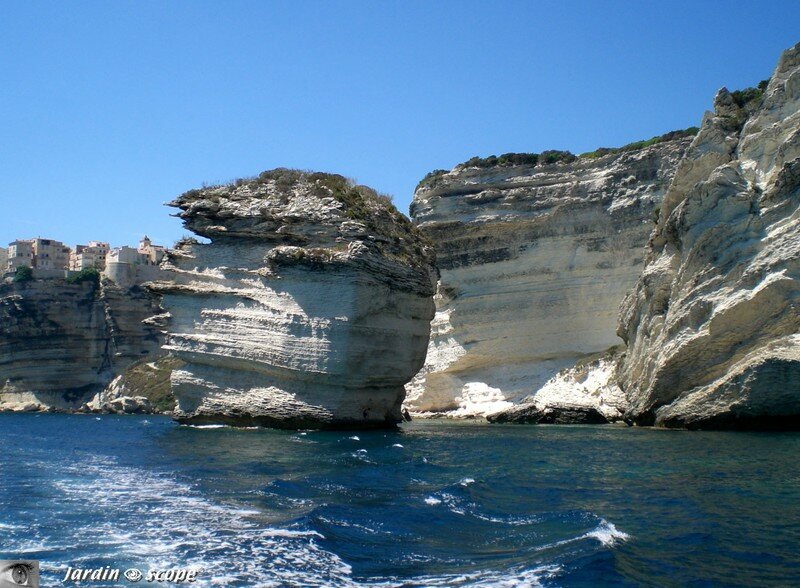 Bonifacio - 