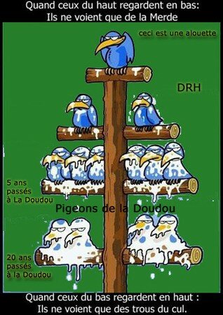 Definition_de_la_Hierarchie