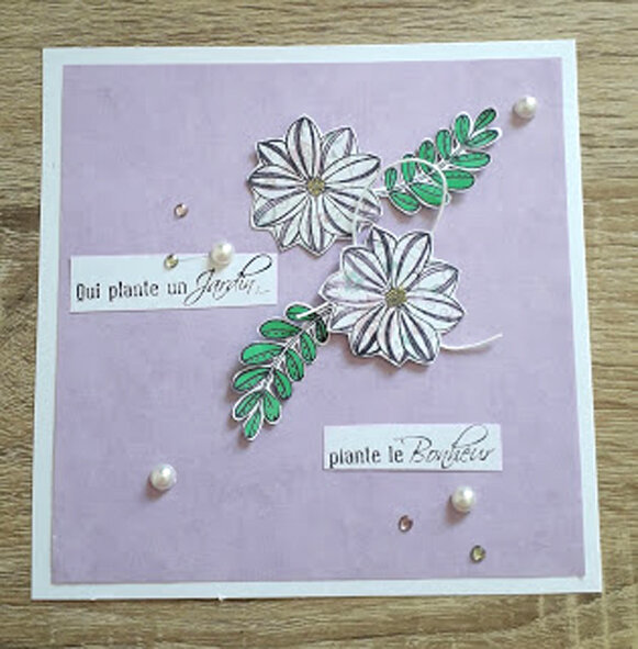 17_Elena