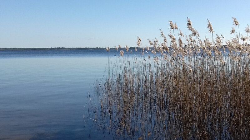 20190203_154527