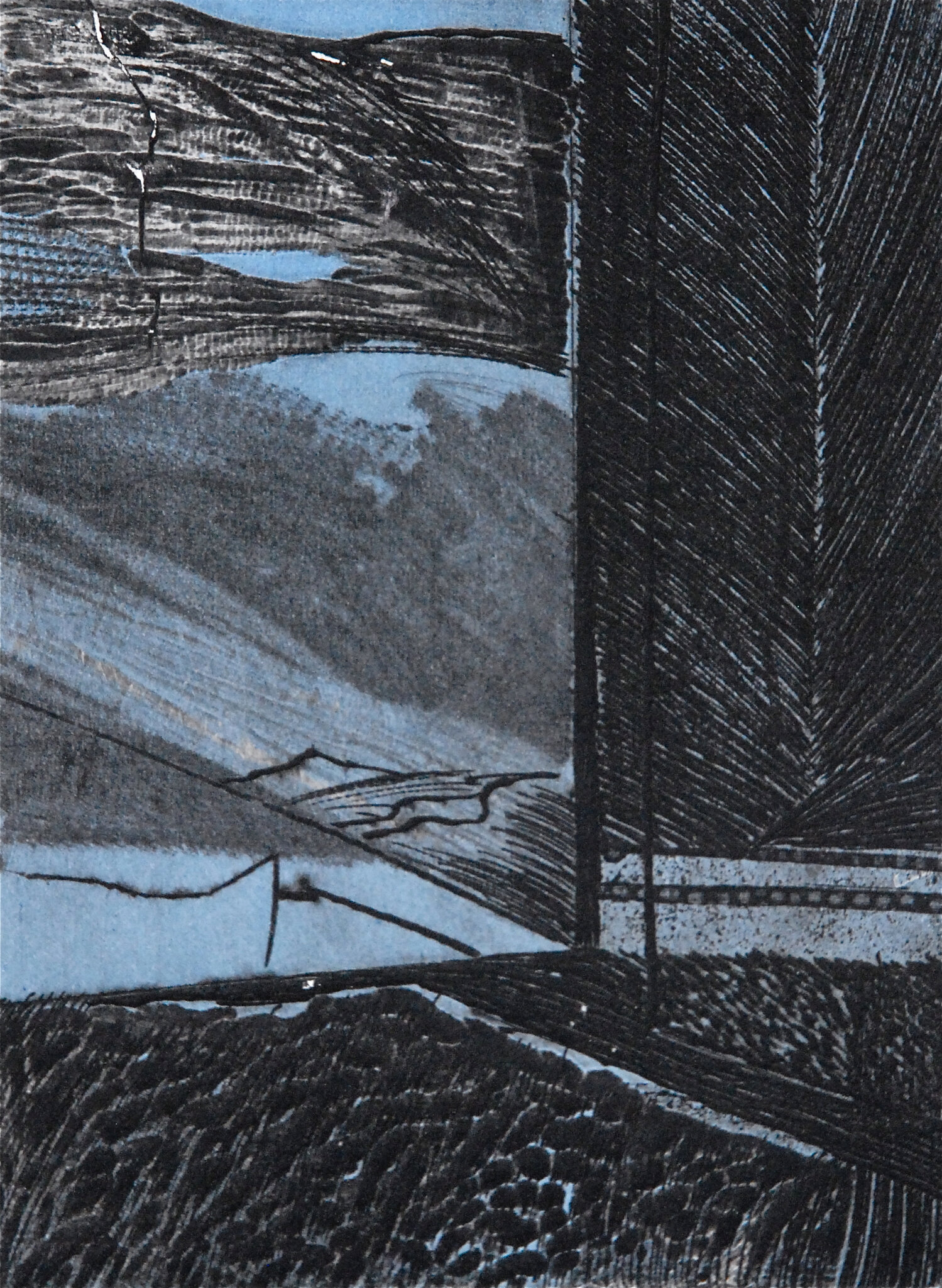 BG1_0281
