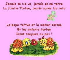 famille tortue