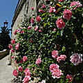En <b>Drôme</b> Provençale : Valaurie & la Garde Adhémar.....