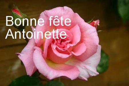 carte-bonne-fete-Antoinette-7-147-big