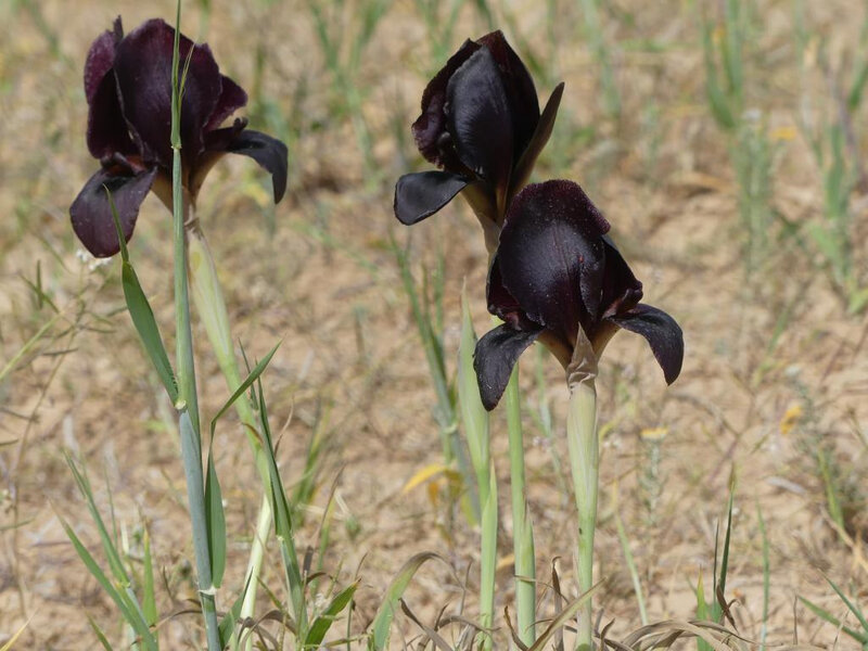 P1000572