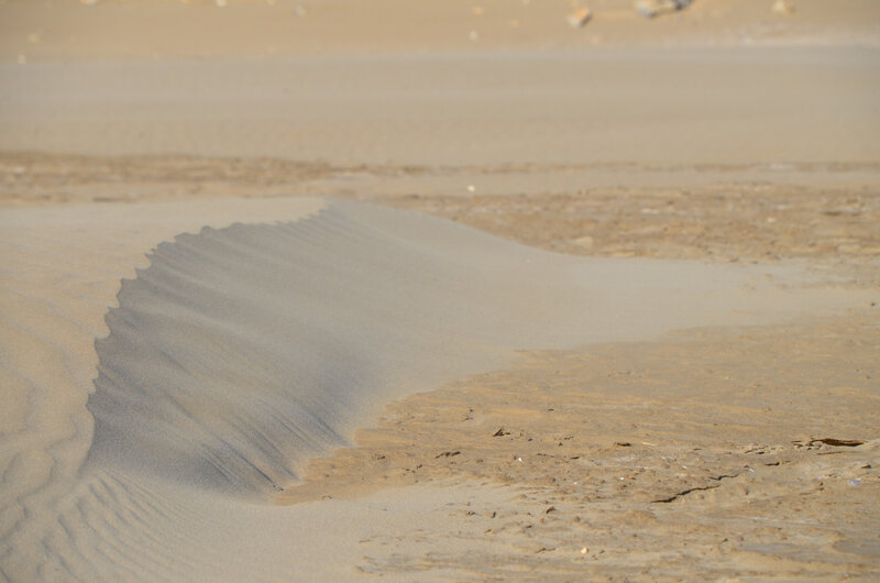 dune 1