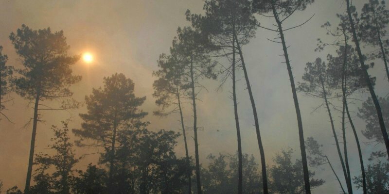 risque feux de forêt