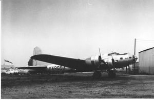 B17g
