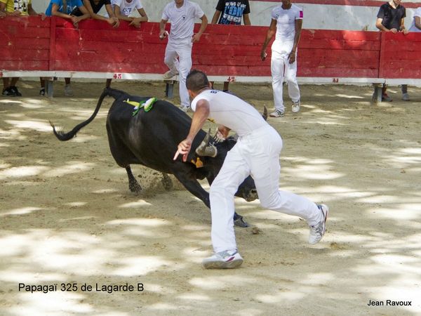 finale gland d'or le 06 08 201320130807004465