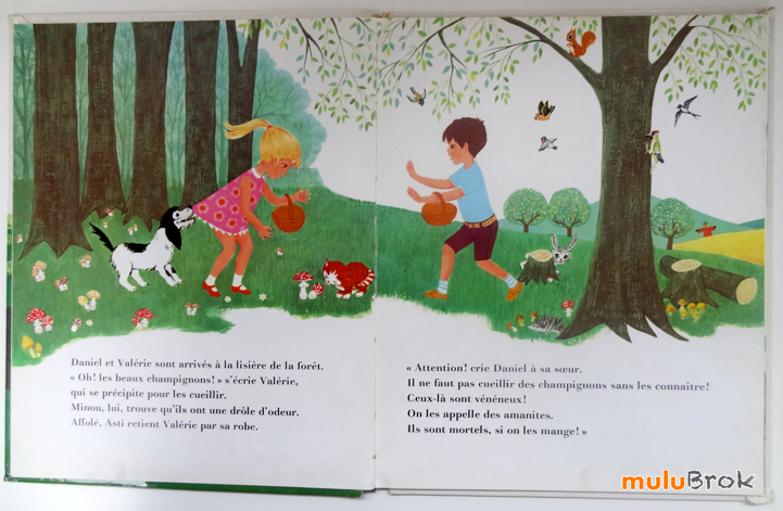 Daniel-et-Valérie-à-la-campagne-04-muluBrok