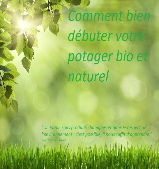 Guide-comment-bien-débuter-votre-potager