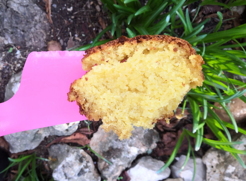 Cake fleur d'oranger 11