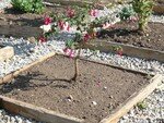 jardin__toil__5