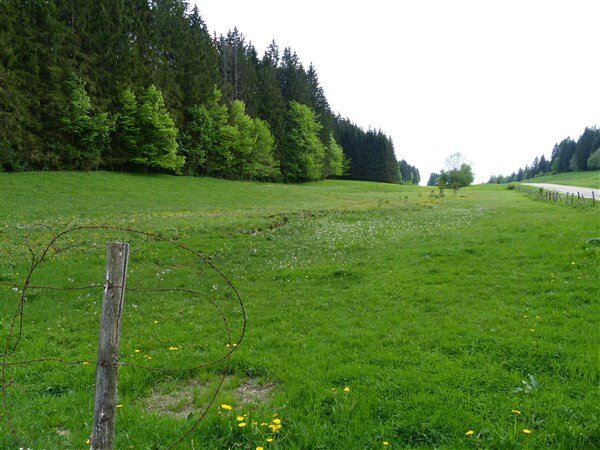 P1120220