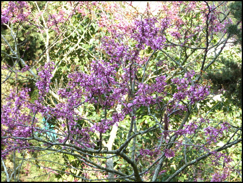 P1750374