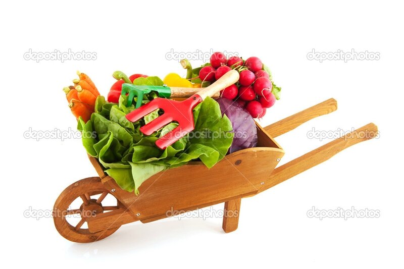 depositphotos_3697695-Wheelbarrow-vegetables