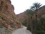 Tafraoute_010