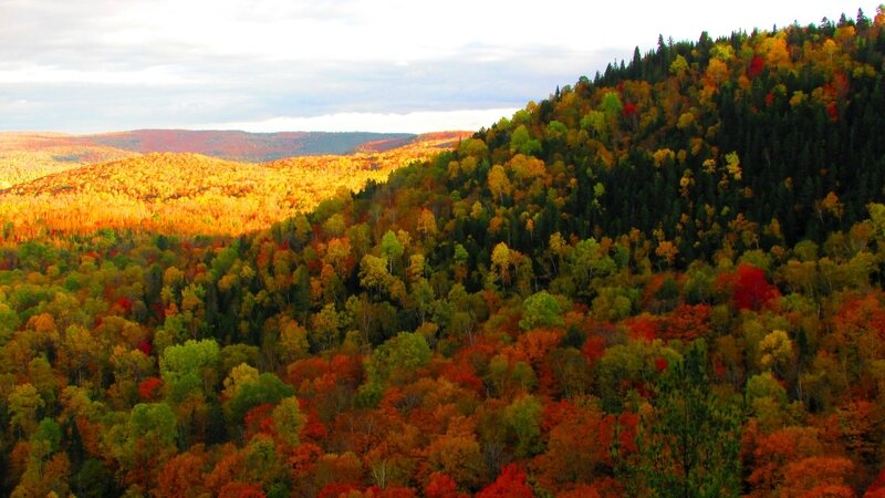 2017-10-08 Parc de la Mauricie (91)