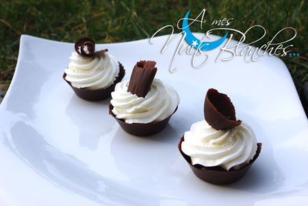 mini-foret-noire7