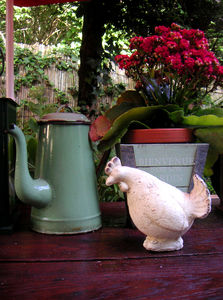 tableterrasse_poule