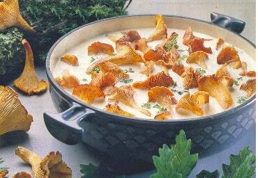 girolles à la crème