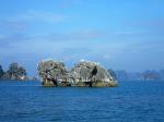 Halong9991
