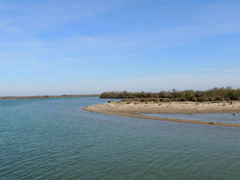 Croisière sur le petit Rhône