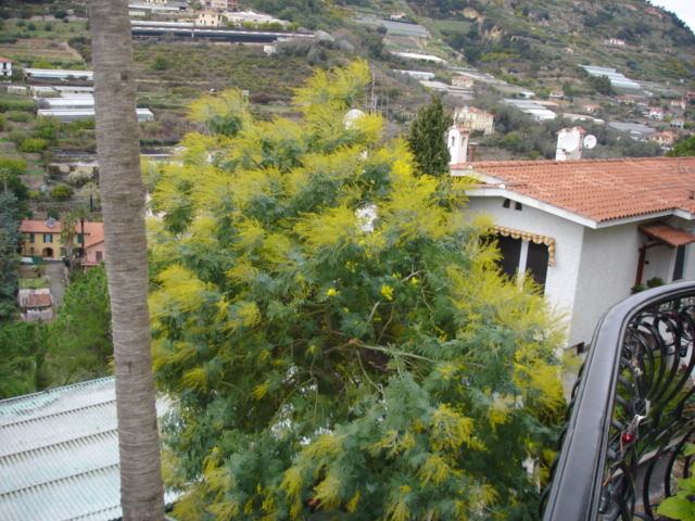 DSC01090