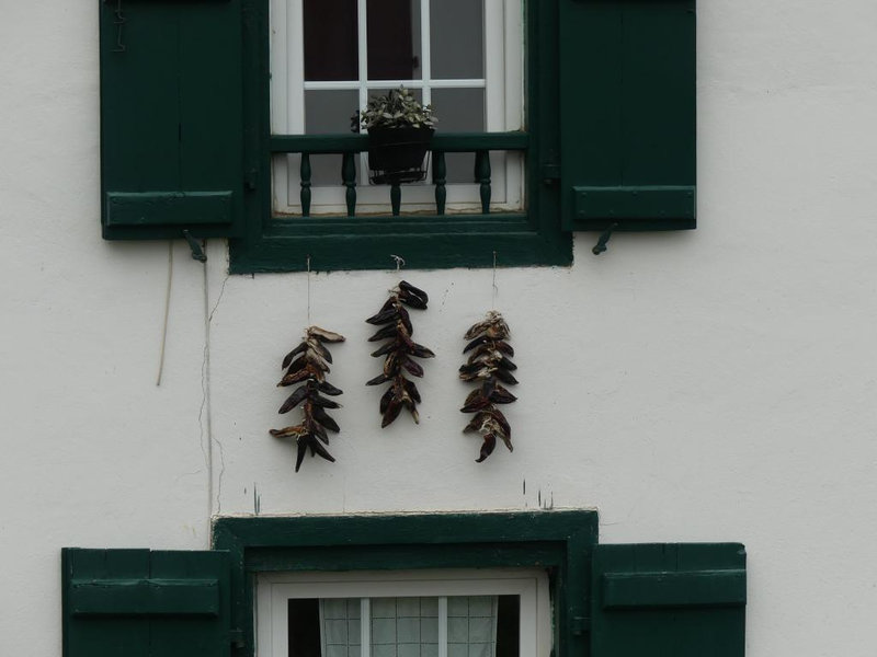 P1110119