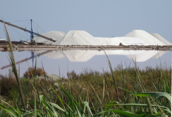 Sel Camargue