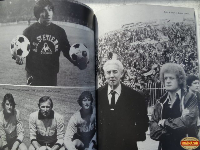LES VERTS 80 muluBrok (2)