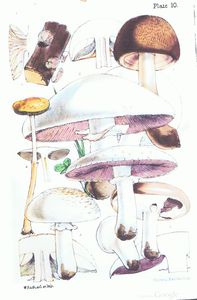 Berkeley3