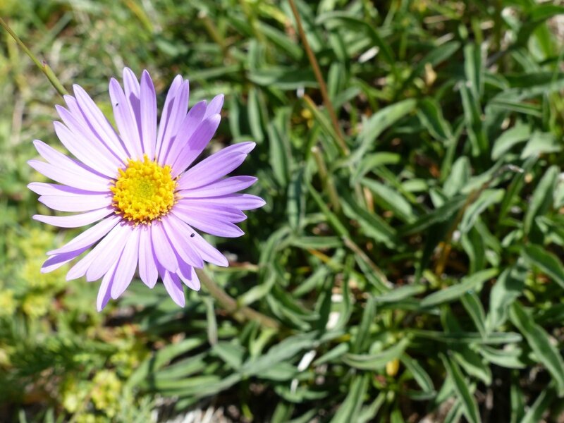 P1240911