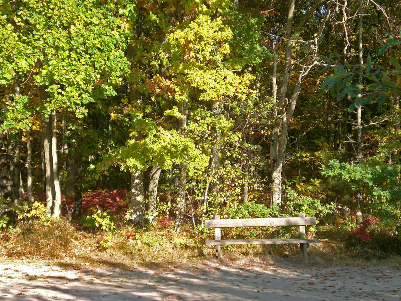 Un banc au bord du chemin au domaine du Ciran en Sologne