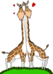 girafes_coeurs